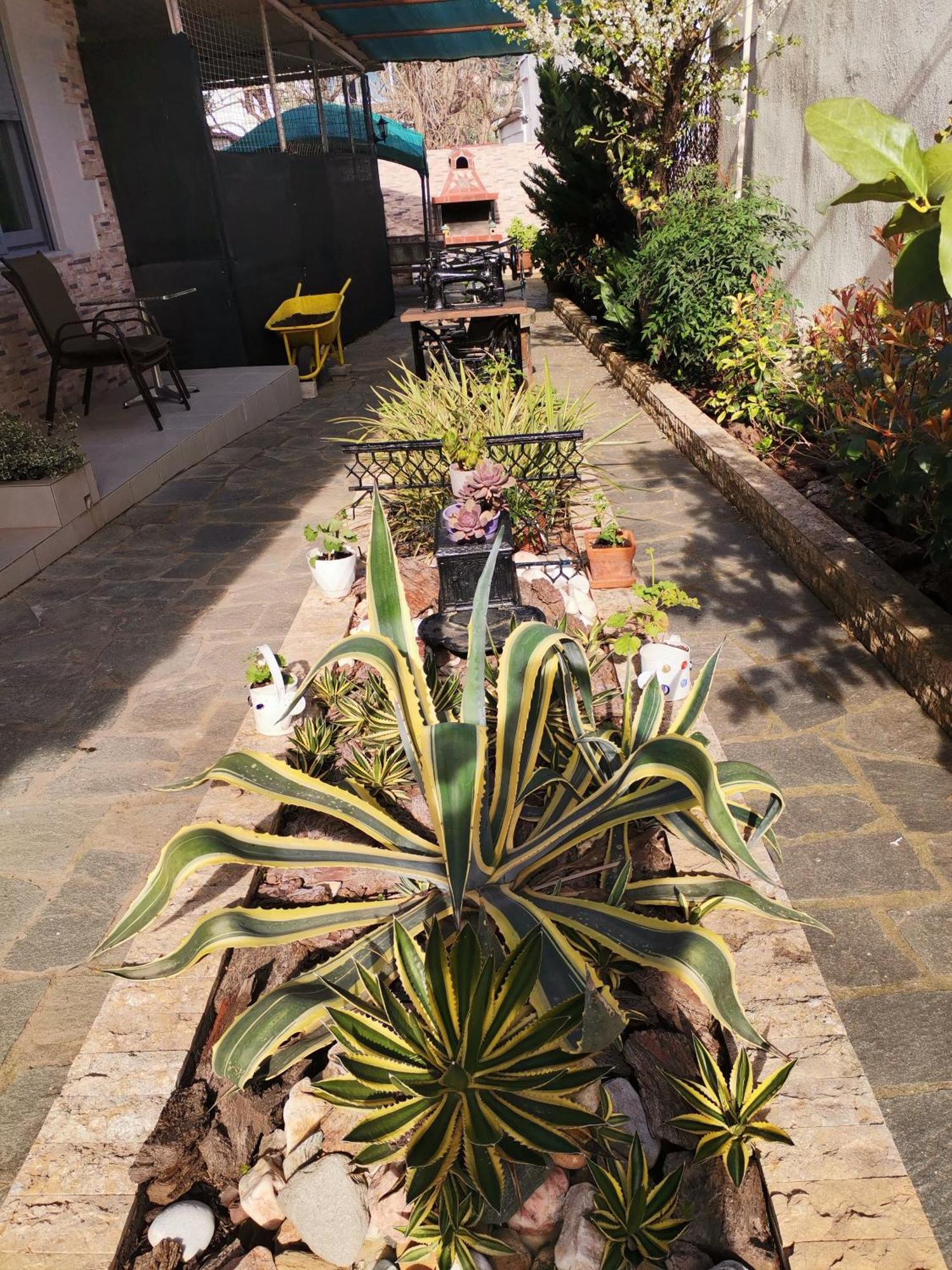 Lia Adults Only -fully Renovated