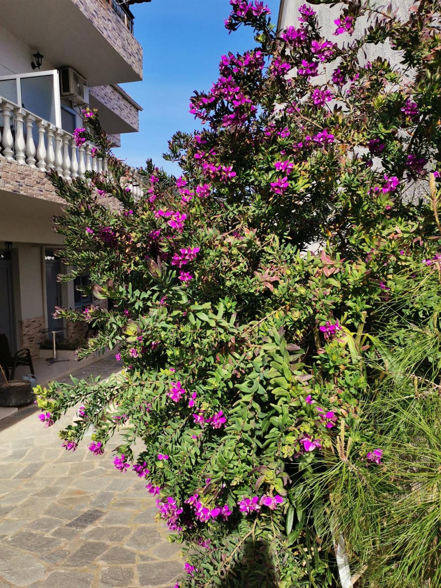 Lia Adults Only -fully Renovated Apartment